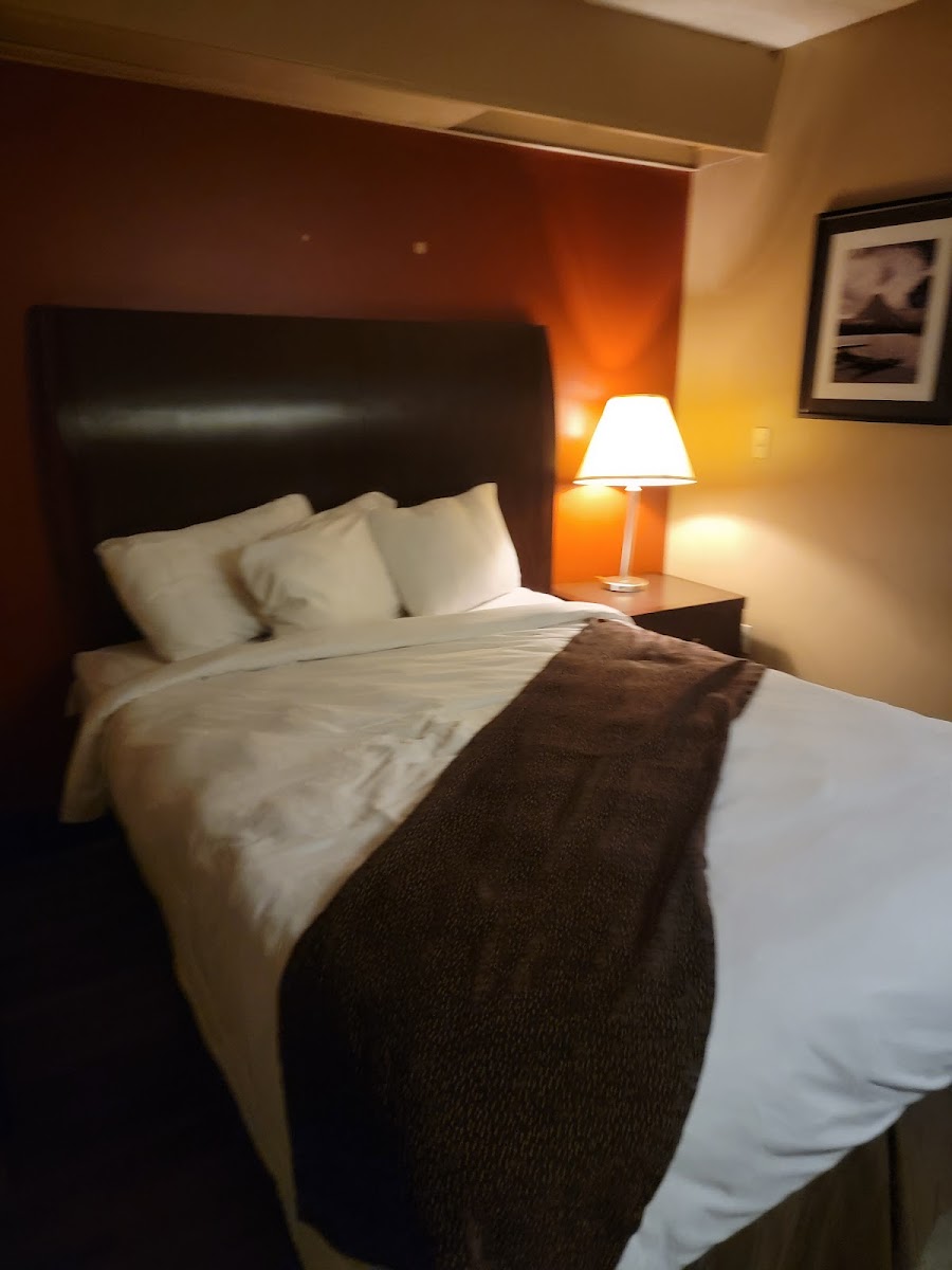 Americas Best Value Inn Kalispell photo 3
