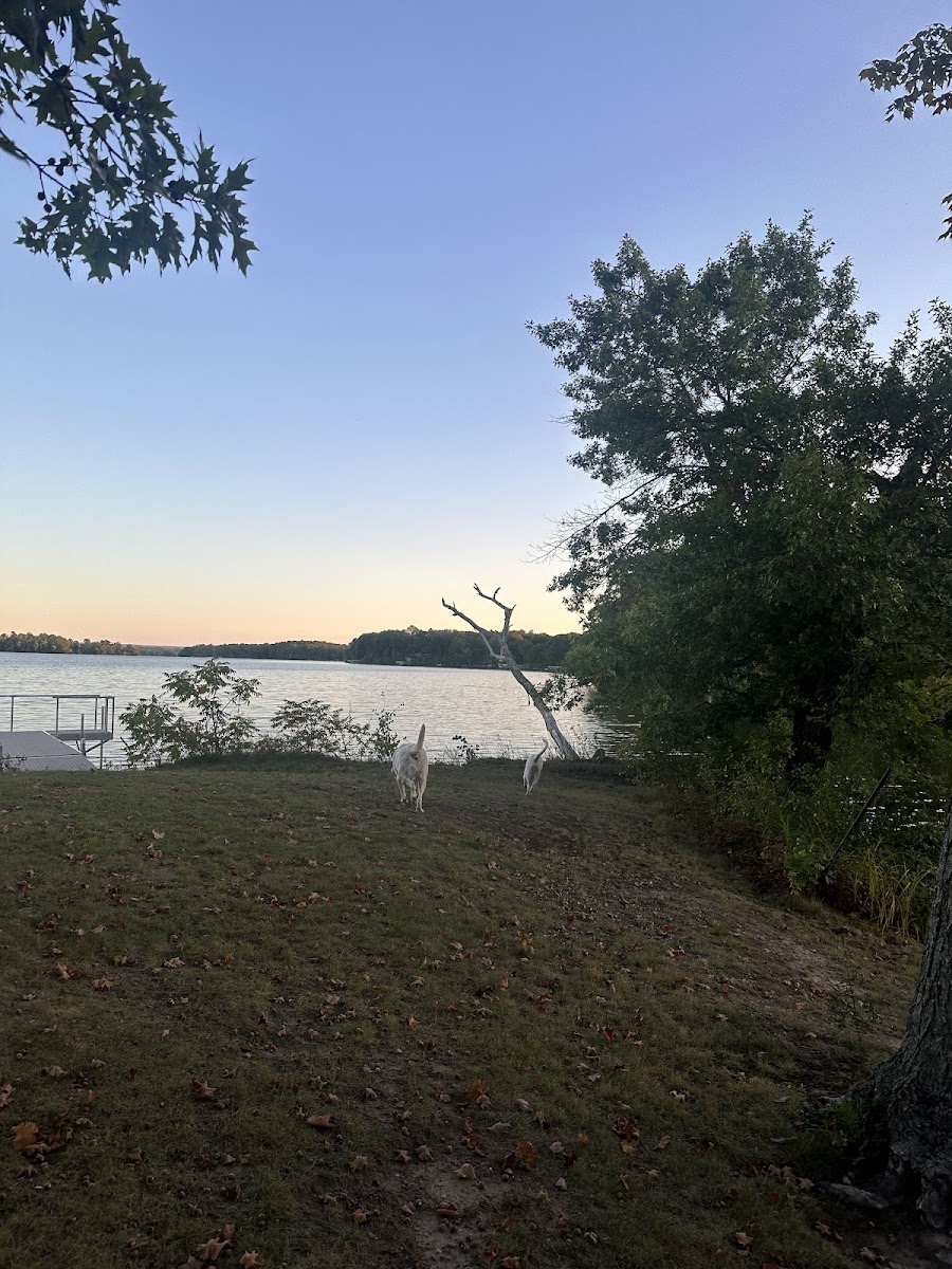 Waldo Carson park