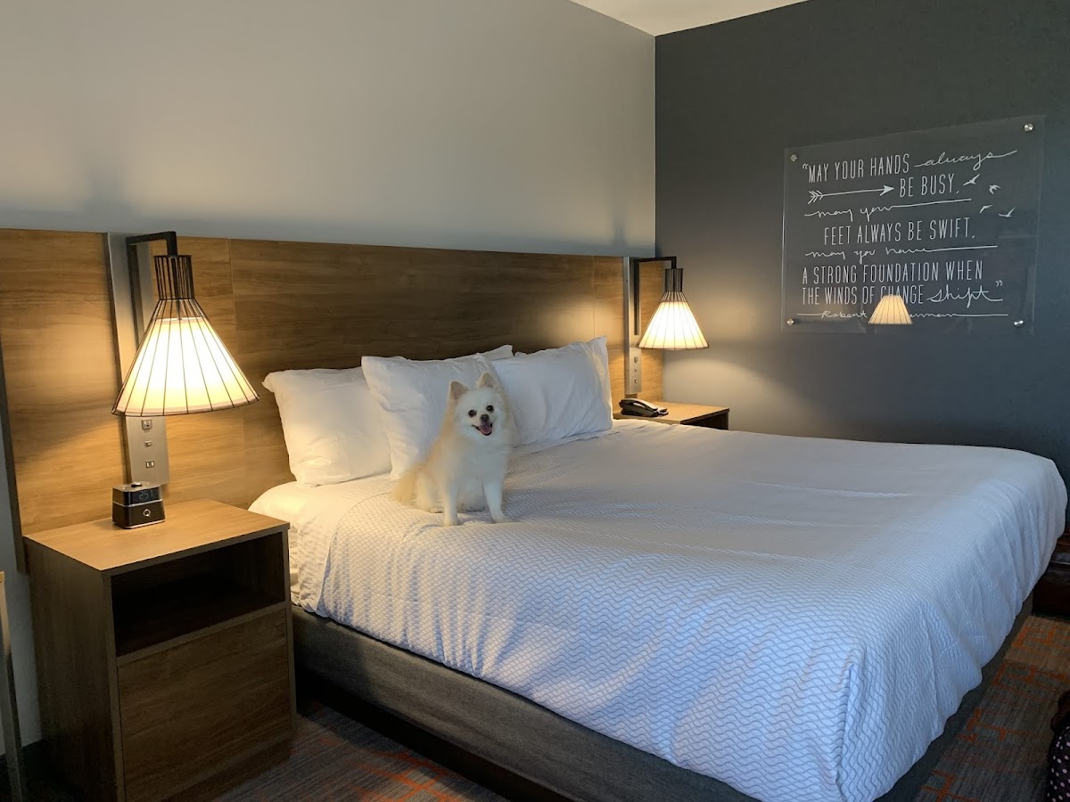 La Quinta Inn & Ste by Wyndham Wisconsin Dells- Lake Delton photo 3