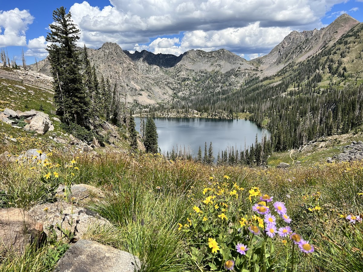 Mount Zirkel Wilderness