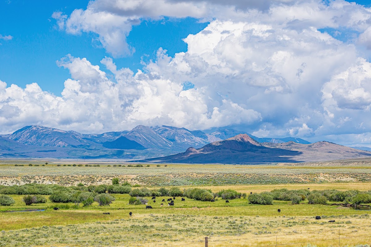 Delaney Butte