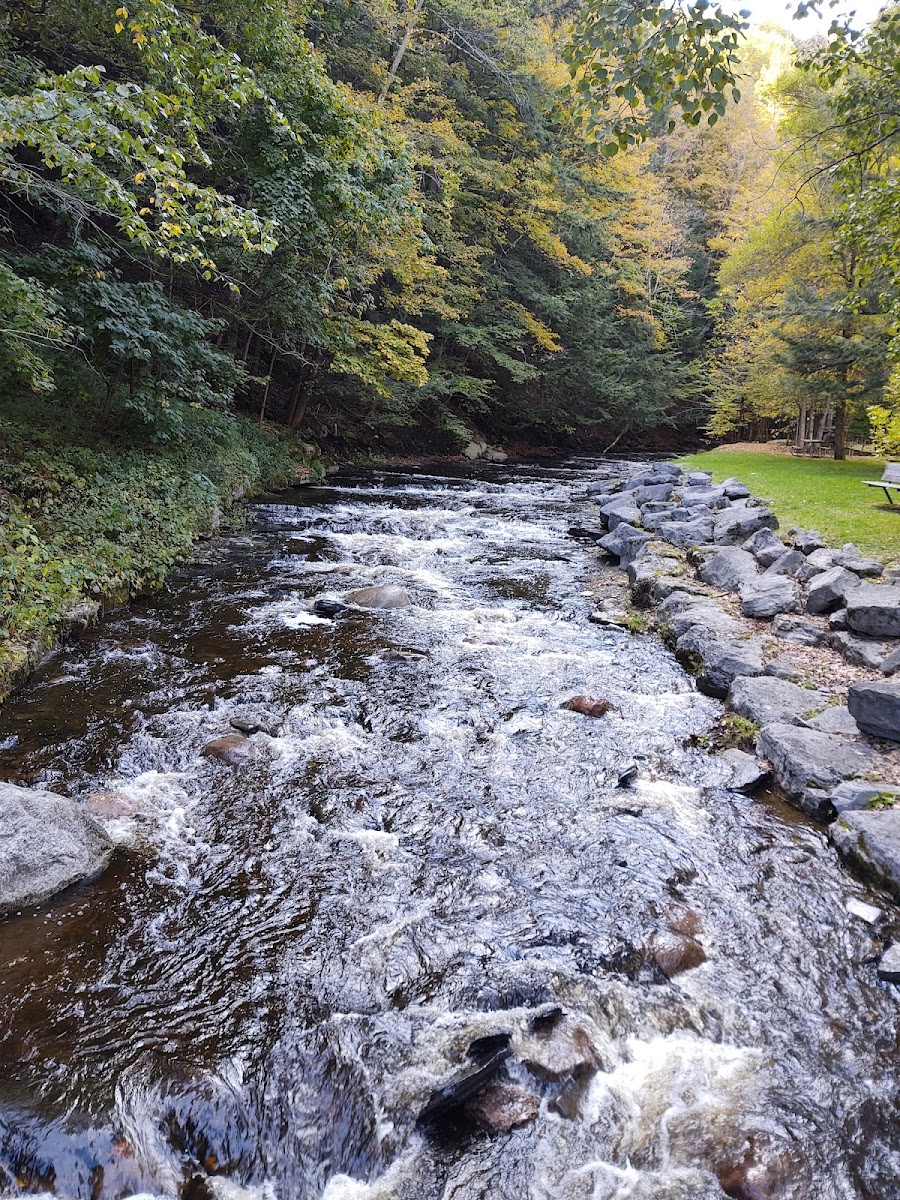 Whetstone Gulf State Park