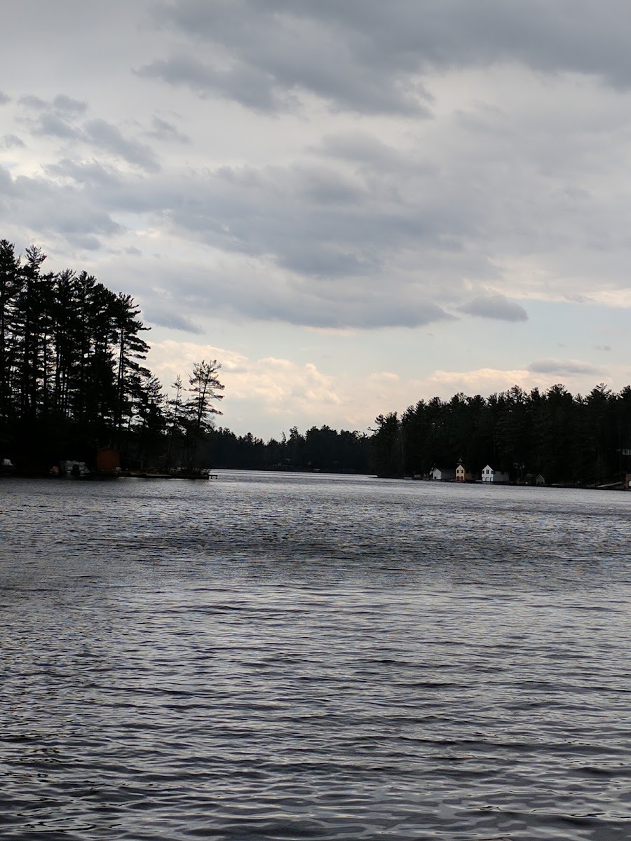 Brantingham Lake