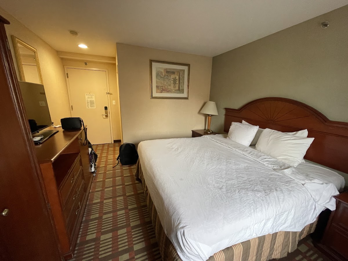 La Quinta Inn by Wyndham Queens (New York City) photo 3