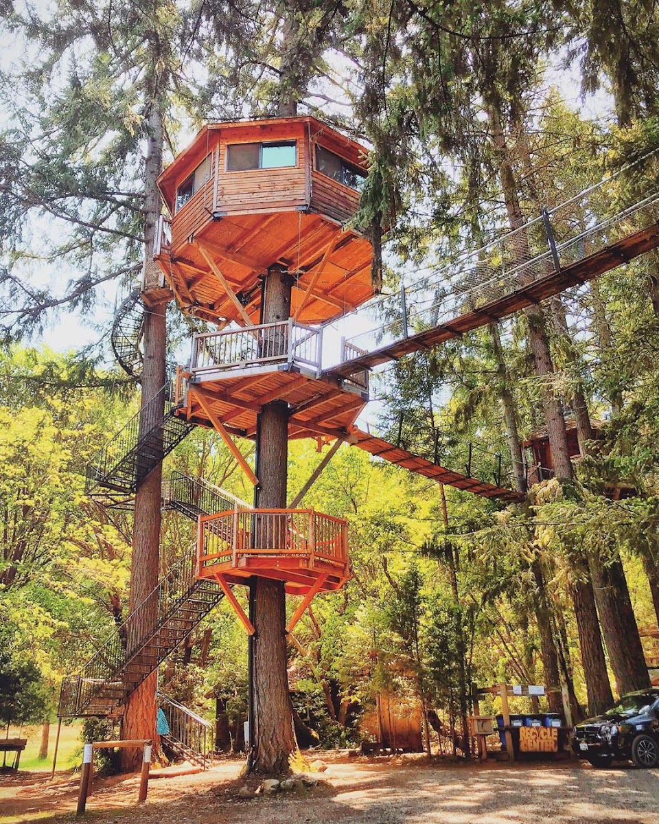 Out'n'About Treehouse Treesort LLC photo 2