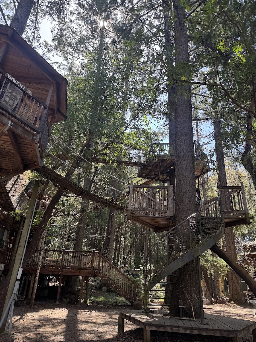 Out'n'About Treehouse Treesort LLC photo 3