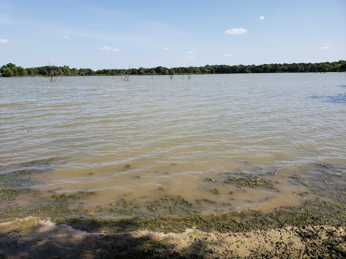Aquilla Lake