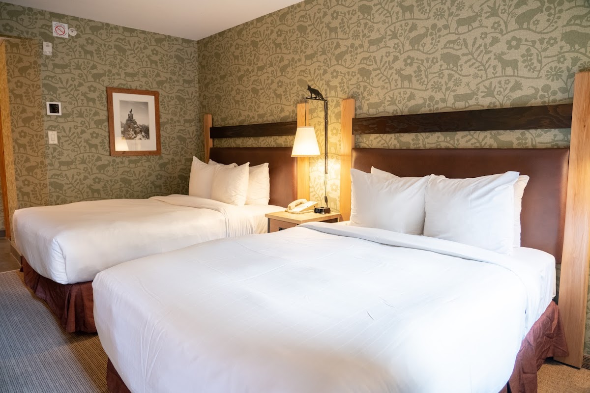 Fox Hotel & Suites photo 2