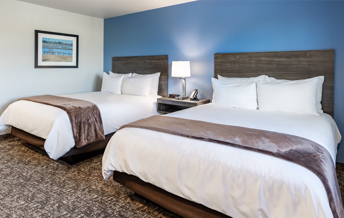 My Place Hotel-Green Bay, WI photo 2