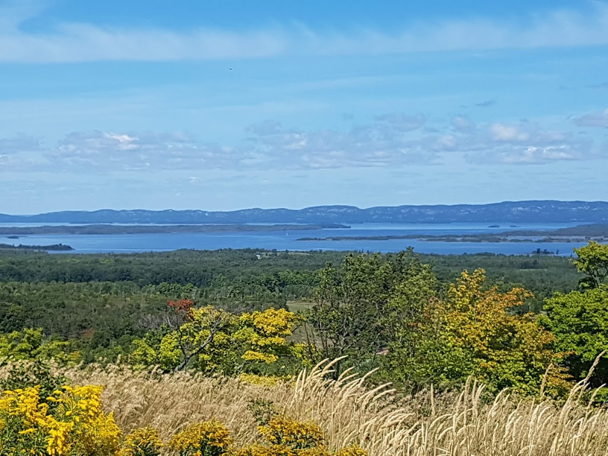 McLeans Mountain Lookout and Skyline Hiking Trail