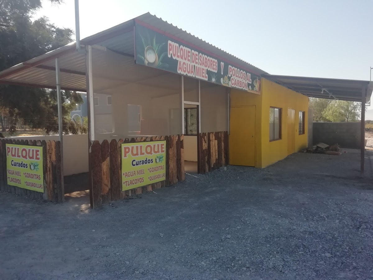 TURI PLAZA EL MOLINO CARDONAL HIDALGO