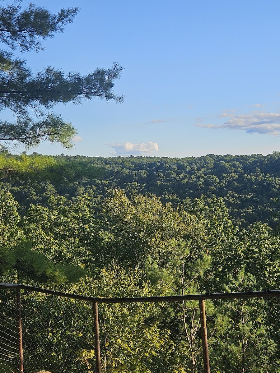 Cook Forest State Park Office
