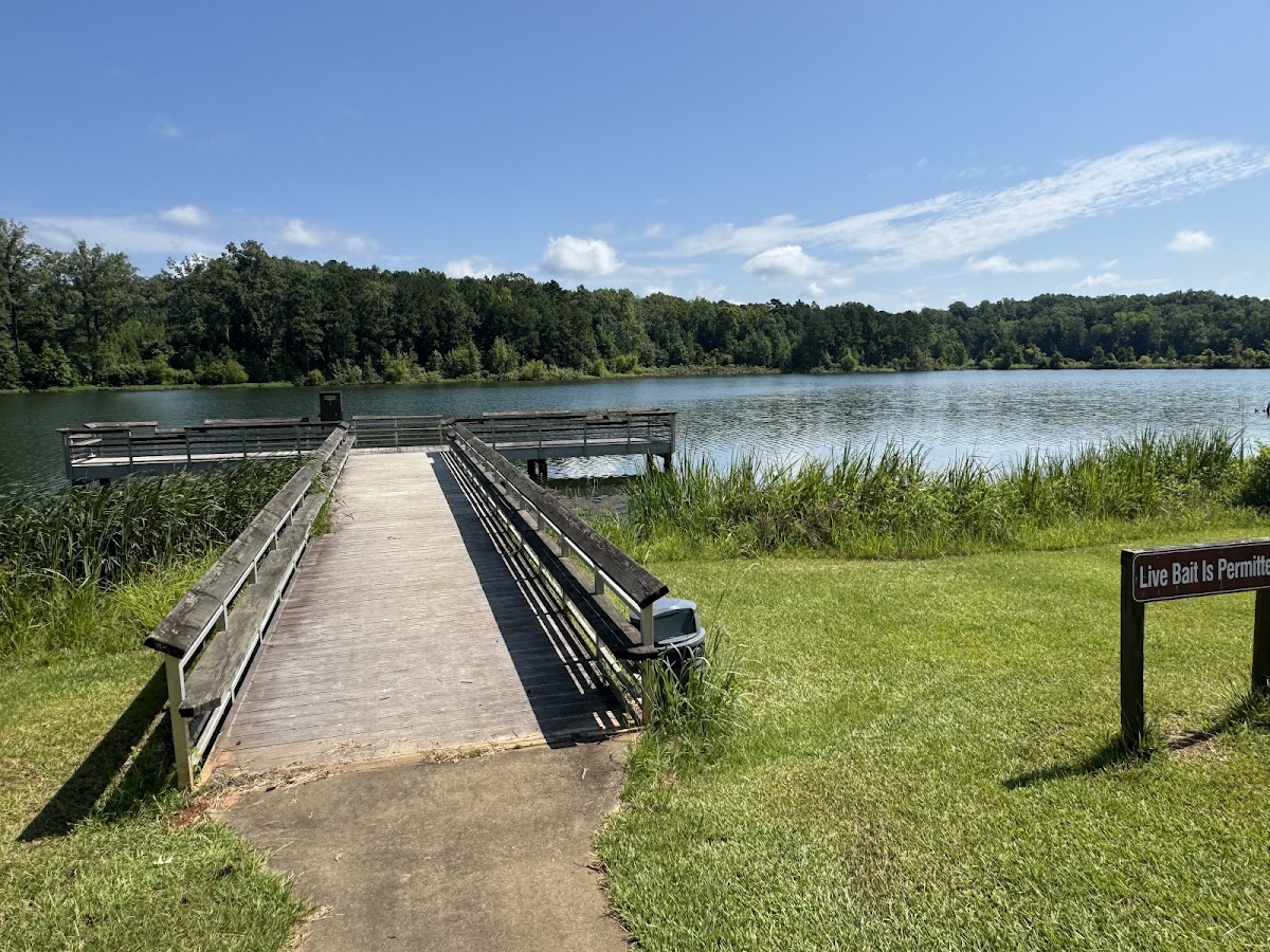 Ocmulgee Public Fishing Area