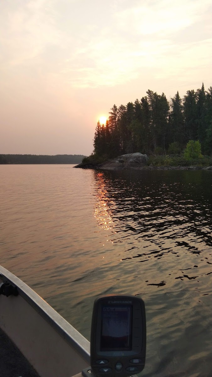Bird Lake