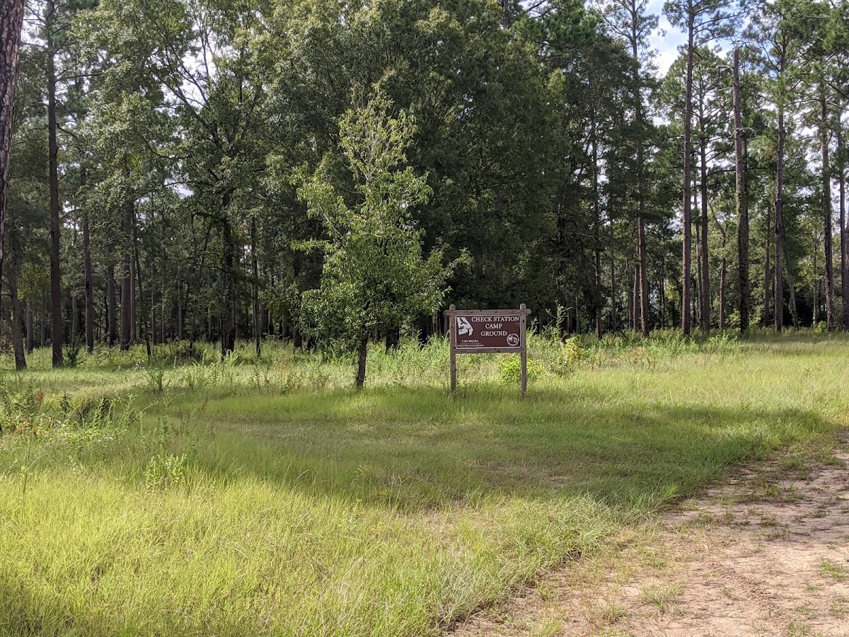 Ocmulgee Wildlife Management Area
