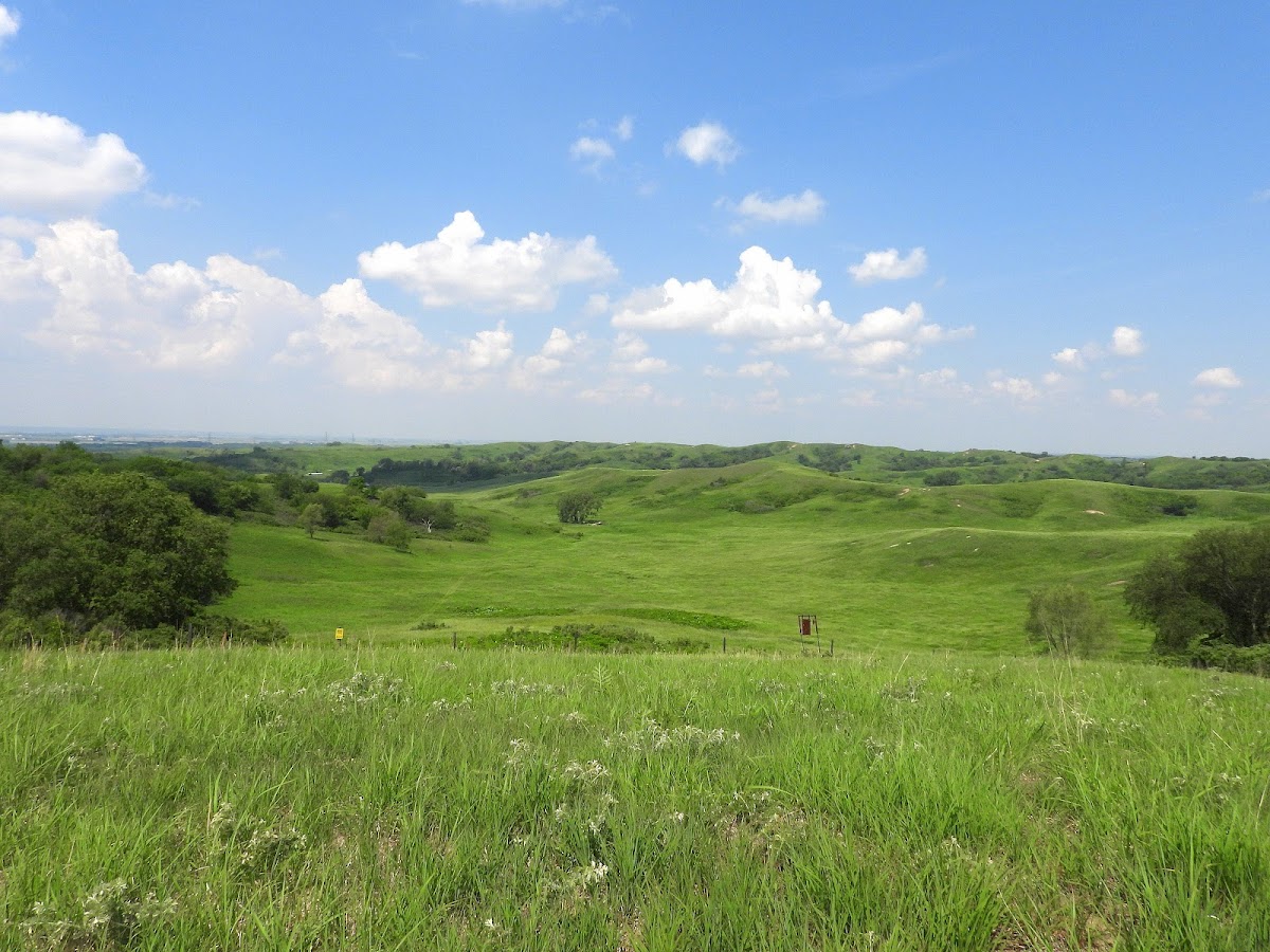 Broken Kettle Grasslands Preserve