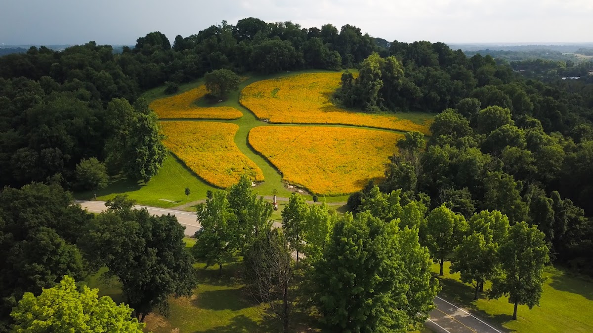 Boyce Park