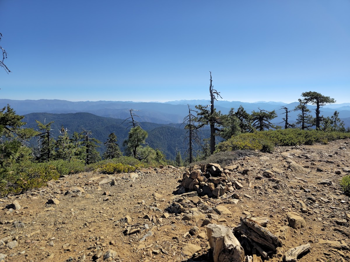 Horse Mountain Botanical Area