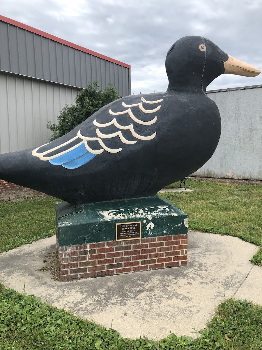 Old Blackduck Statue
