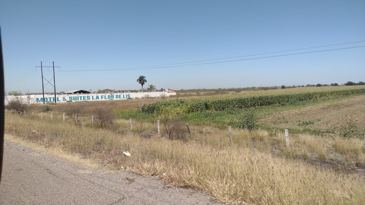 Motel La Flor de Lis photo 3