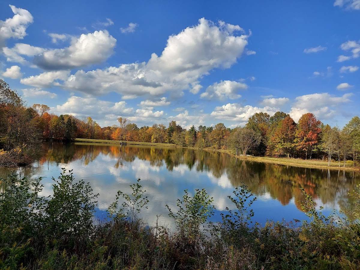 Blendon Woods Metro Park