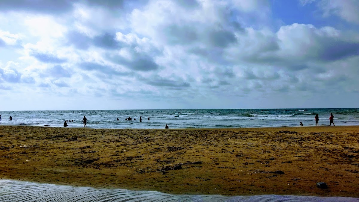Playa Las Palmitas