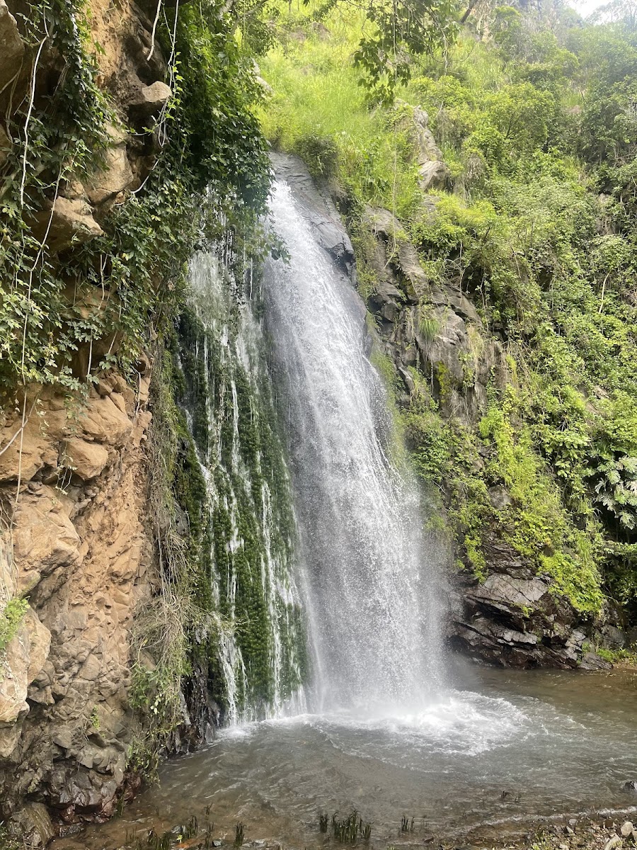 Cascada Arroyo Frio