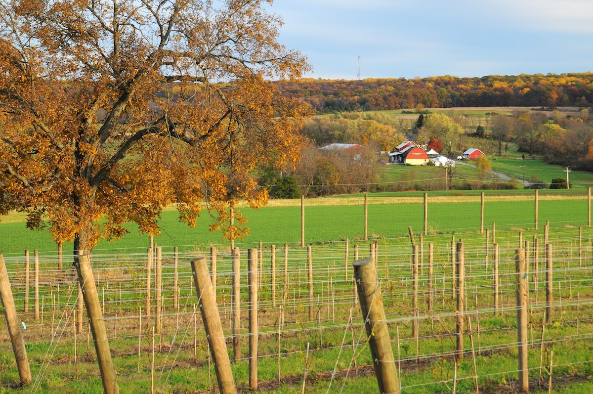 Unionville Vineyards