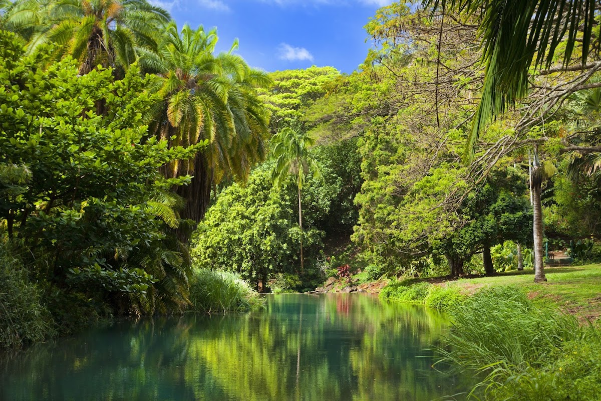 McBryde & Allerton Garden, National Tropical Botanical Garden