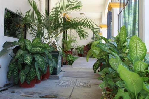 Hotel Arrecife Huatulco Plus photo 3