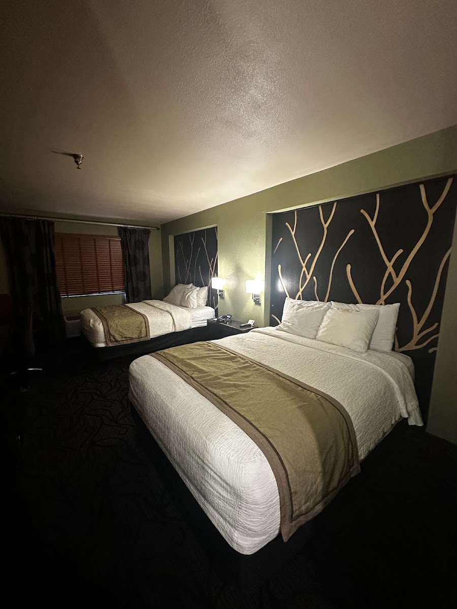 Menominee Casino & Resort photo 2