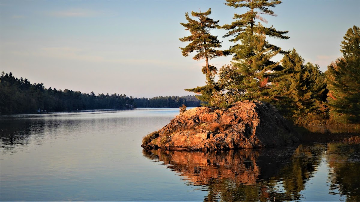 Tyson Lake