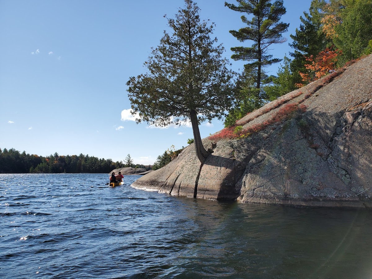Johnnie Lake