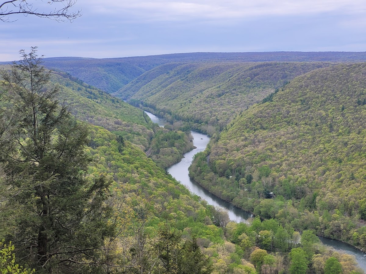Bucktail State Park Natural Area