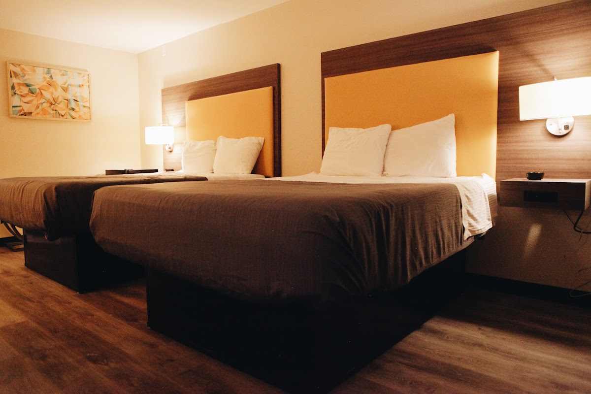 All Seasons Inn & Suites photo 2