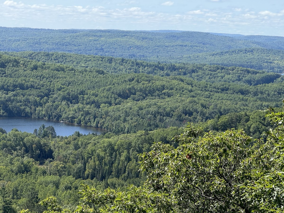 Thomas P Murray Recreational Trails