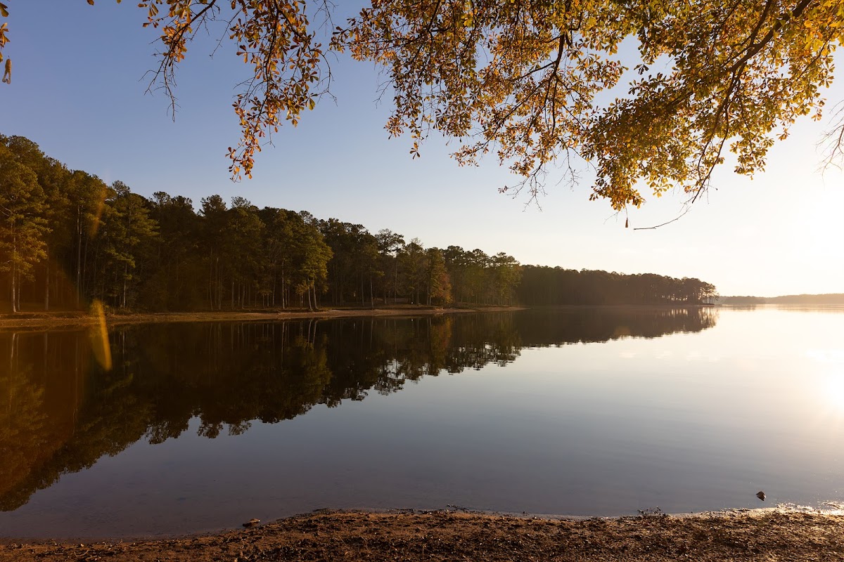Long Cane Park