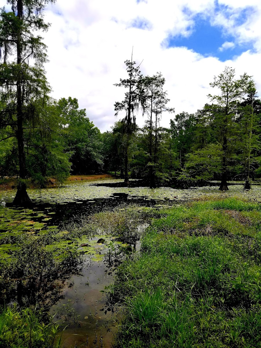 Robert A. Fowler Memorial Park