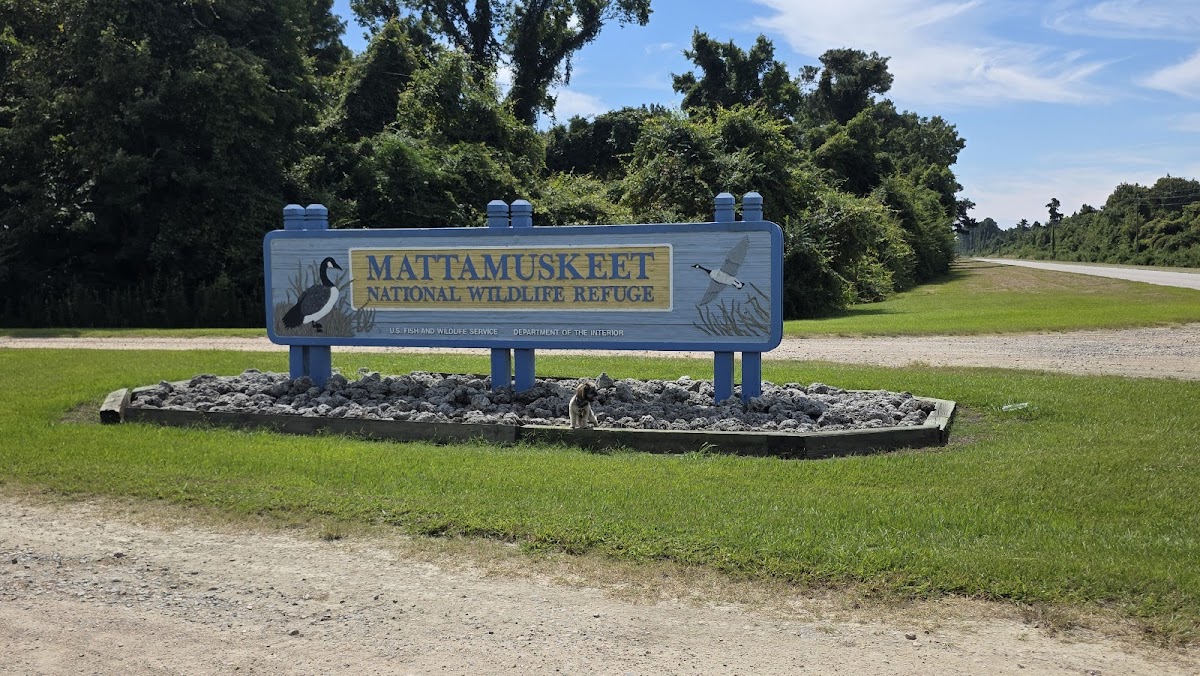 Mattamuskeet National Wildlife Refuge