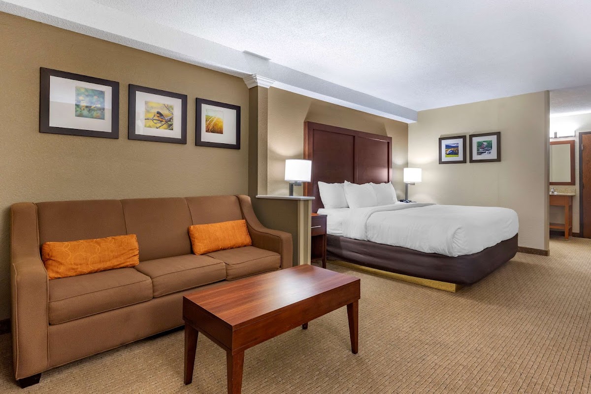 Comfort Inn & Suites near Danville Mall photo 2