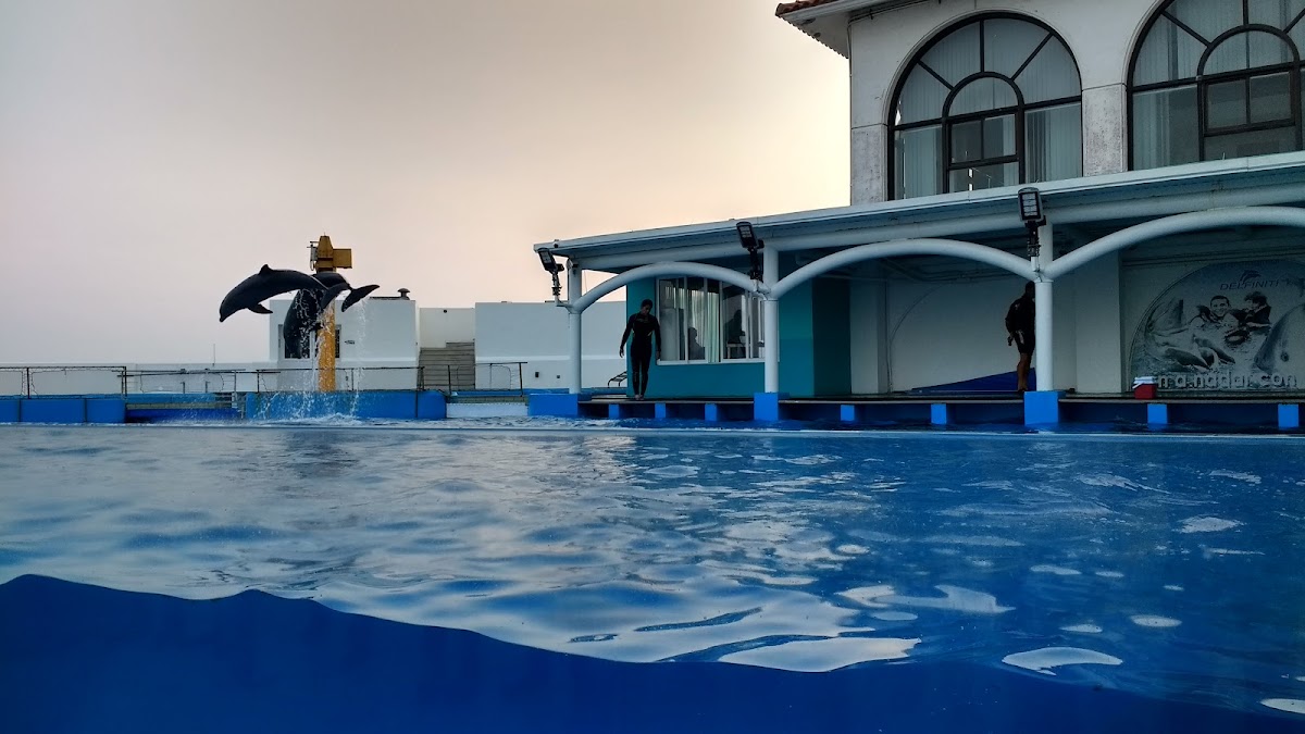 Aquarium of Veracruz