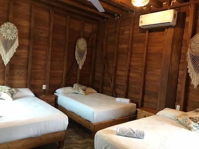 Room 6