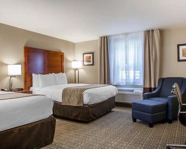 Comfort Inn & Suites Sturbridge-Brimfield photo 2