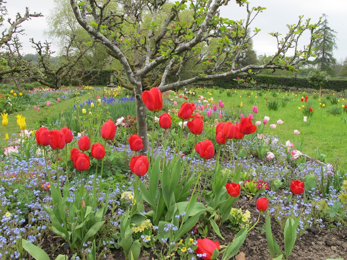 Hergest Croft Gardens