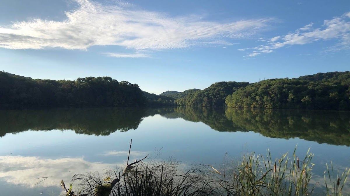 Radnor Lake