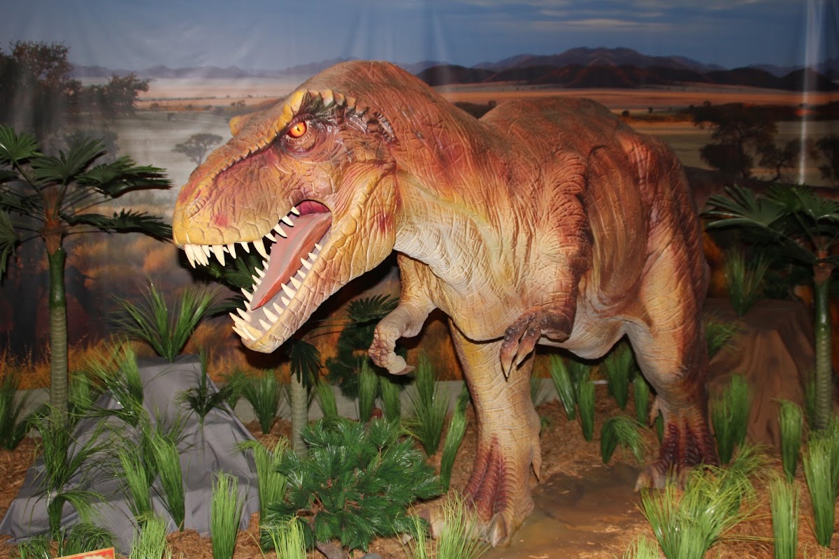 Dinosaur World
