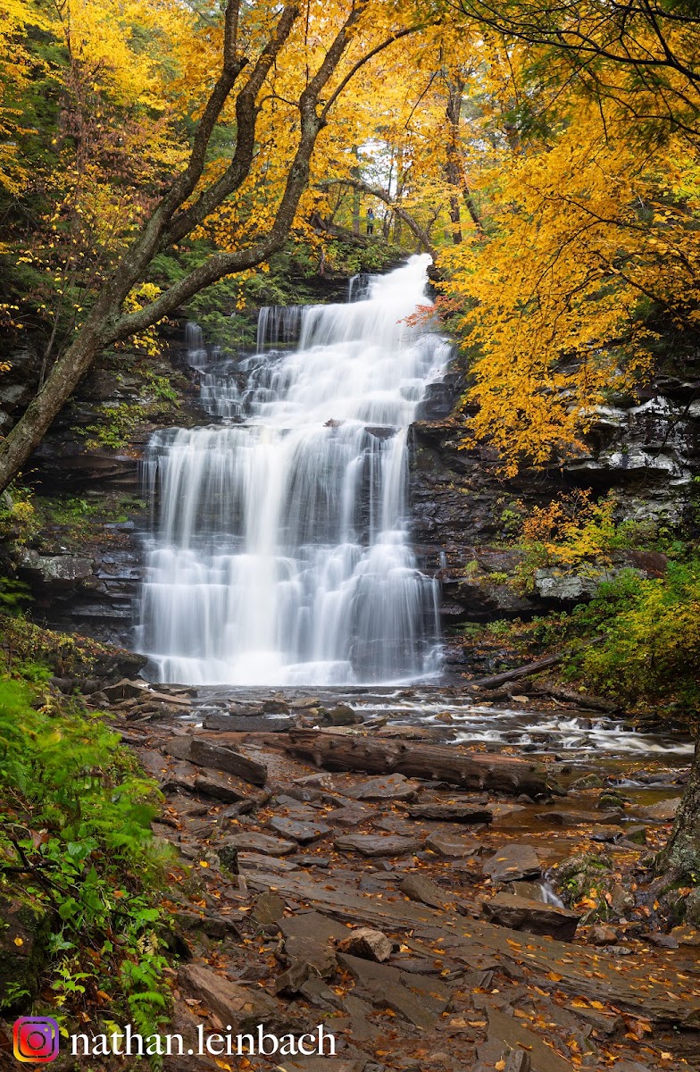 Ricketts Glen