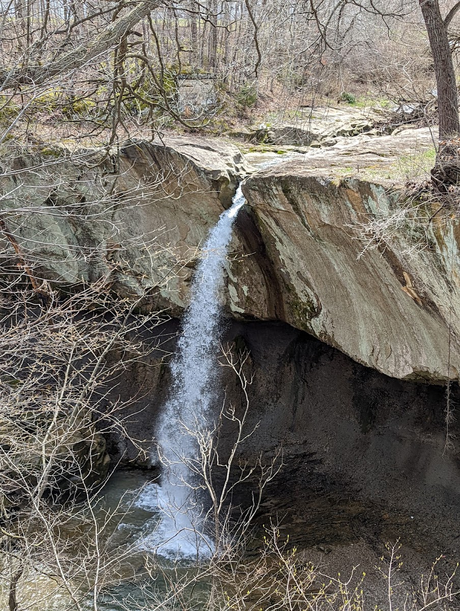 Williamsport Falls