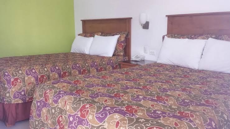 Hotel Baja photo 3