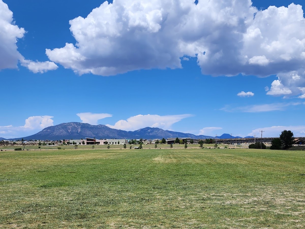 Venus Park